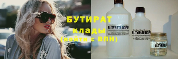 сатива Ладушкин