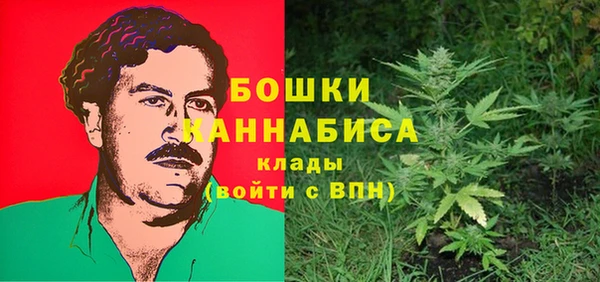 крисы Лагань