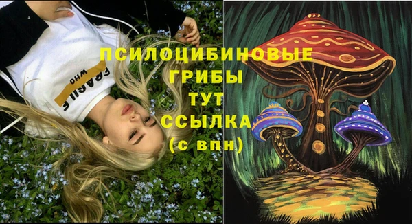 крисы Лагань