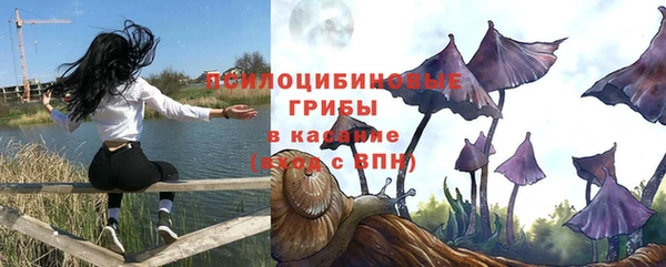 сатива Ладушкин