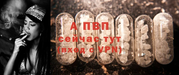 сатива Ладушкин