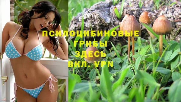 сатива Ладушкин